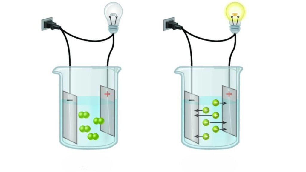 Electrolyte Solutions